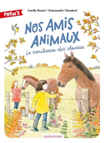 OS AMIS ANIMAUX T3, de Camille Brunel | portada del libro