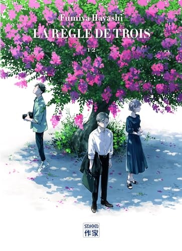A REGLE DE TROIS T1, de Fumiya Hayashi | portada del libro