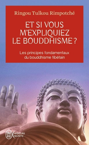 T SI VOUS M EXPLIQUIEZ LE BOU, de Ringou Tulkou Rimpotché | portada del libro