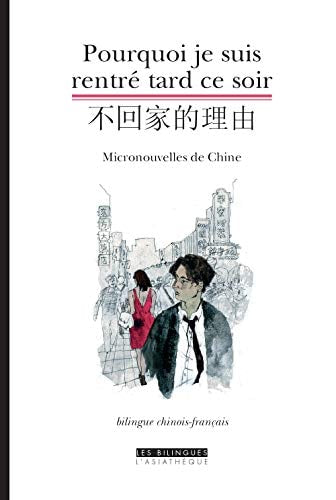 POURQUOI JE SUIS RENTRE TARD CE SOIR, de Delphine Goldschmidt-Clermont | portada del libro