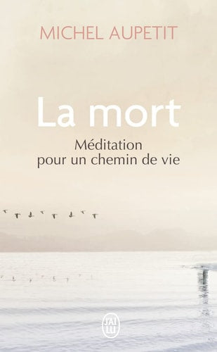 A MORT MEDITATION POUR UN C, de Michel Aupetit | portada del libro