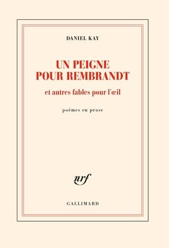 UN PEIGNE POUR REMBRANDT ET AUTRES FABLES POUR L'OEIL, de Daniel Kay | portada del libro