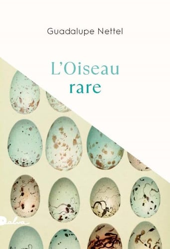 L OISEAU RARE, de NETTEL GUADALUP | portada del libro