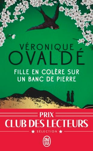FILLE EN COLERE SUR UN BANC DE PIERRE, de Véronique Ovaldé | portada del libro