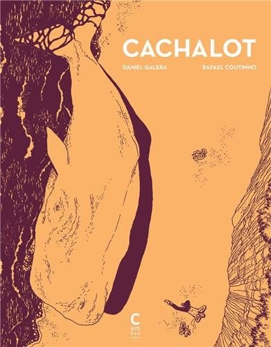 CACHALOT, de Daniel Galera | portada del libro