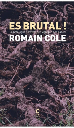ES BRUTAL, de Romain Cole | portada del libro
