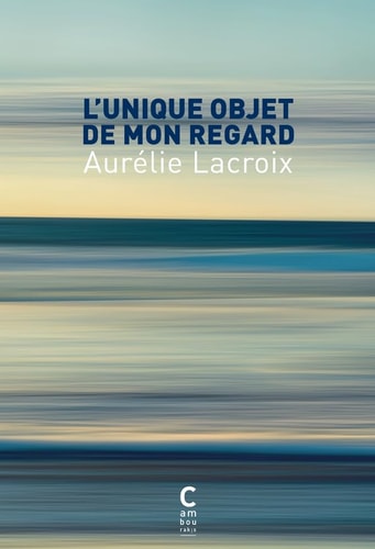 L'UNIQUE OBJET DE MON REGARD, de Aurélie Lacroix | portada del libro