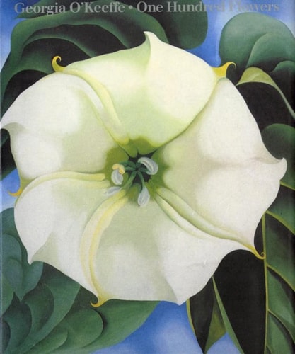 O'KEEFFE, GEORGIA: 100 FLOWERS, de Georgia O'Keeffe | portada del libro