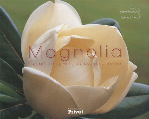 MAGNOLIA, de Corinne Langlois | portada del libro
