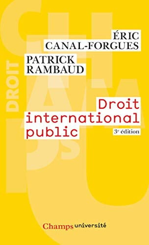 ROIT INTERNATIONAL PUBLIC, de CANAL-FORGUES#RAMBAUD | portada del libro