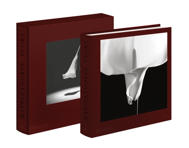 FLORA LES FLEURS DE MAPPLETHORPE, de Robert Mapplethorpe | portada del libro