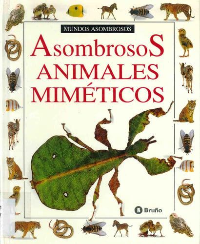 SALDO ASOMBROSOS ANIMALES MIMETICOS, de AA.VV. | portada del libro