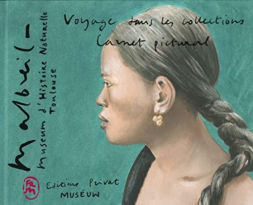 VOYAGE DANS LES COLLECTIONS CARNET PICTURAL, de François Malbreil | portada del libro