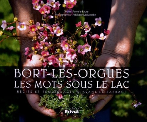BORT LES ORGUES LES MOTS SOUS LE LAC, de Armelle Faure | portada del libro