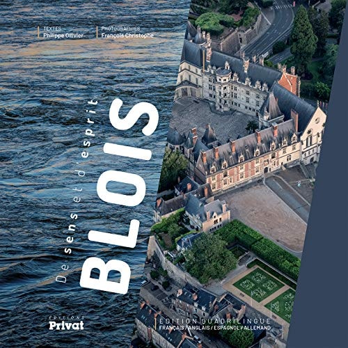 DE SENS ET D'ESPRIT BLOIS, de Philippe Ollivier | portada del libro