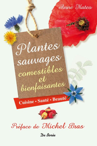 PLANTES SAUVAGES ET BIENFAISANTES, de MATEO A | portada del libro