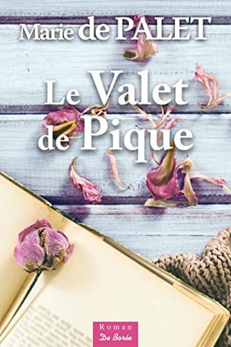VALET DE PIQUE LE, de DE PALET MARIE | portada del libro
