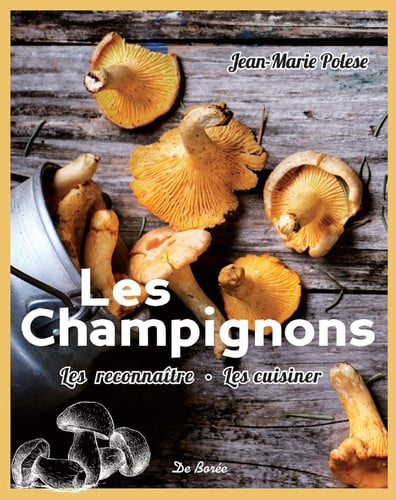CHAMPIGNONS LES RECONNAITRE LES CUISINER LES, de POLESE JEAN-MAR | portada del libro