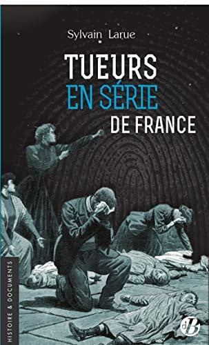 TUEURS EN SERIE DE FRANCE, de LARUE SYLVAIN | portada del libro