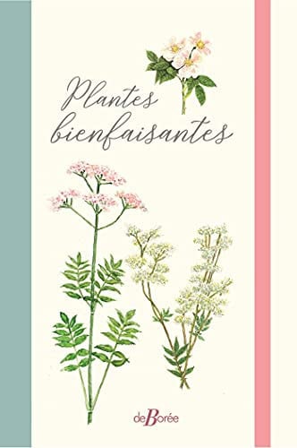 PLANTES BIENFAISANTES, de BRUGES DANIEL | portada del libro