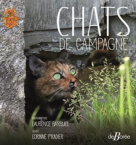 CHATS DE CAMPAGNE, de BARRUEL LAURENC | portada del libro