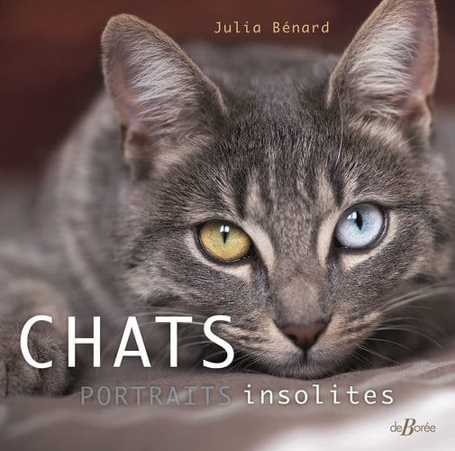 CHATS PORTRAITS INSOLITES, de BENARD JULIA | portada del libro