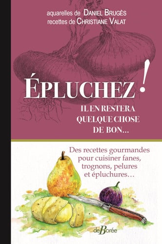 EPLUCHEZ IL EN RESTERA QUELQUE CHOSE DE BON, de BRUGES DANIEL | portada del libro