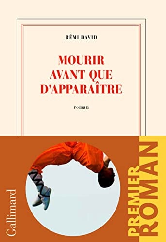 MOURIR AVANT QUE D'APPARAITRE, de Rémi David | portada del libro