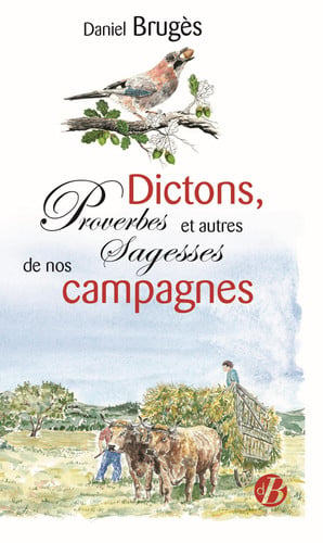 DICTONS PROVERBES ET AUTRES SAGESSES DE NOS CAMPAGNES, de BRUGES DANIEL | portada del libro