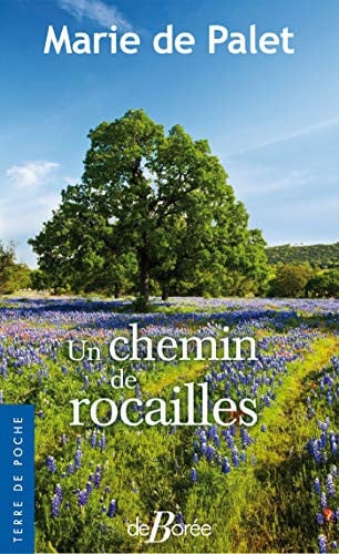 UN CHEMIN DE ROCAILLES, de DE PALET MARIE | portada del libro