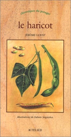 LE HARICOT, de Jérôme Goust | portada del libro