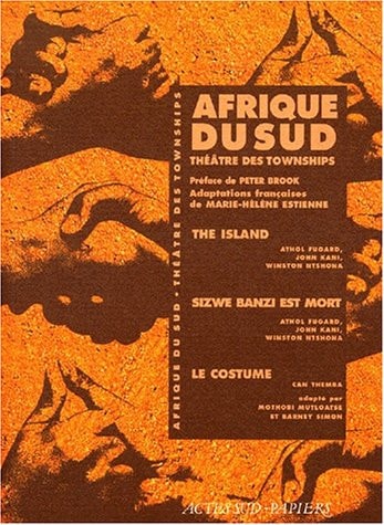 AFRIQUE DU SUD THEATRE DES TOWNSHIPS, de Marie-Hélène Estienne | portada del libro