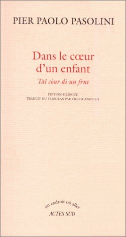 DANS LE COEUR D'UN ENFANT, de Pier Paolo Pasolini | portada del libro