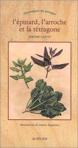 LEPINARD LARROCHE ET LA TETRAGONE, de Jérôme Goust | portada del libro