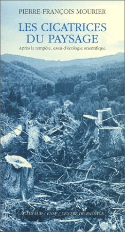 LES CICATRICES DU PAYSAGE, de Pierre-François Mourier | portada del libro