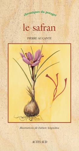 LE SAFRAN, de Pierre Aucante | portada del libro