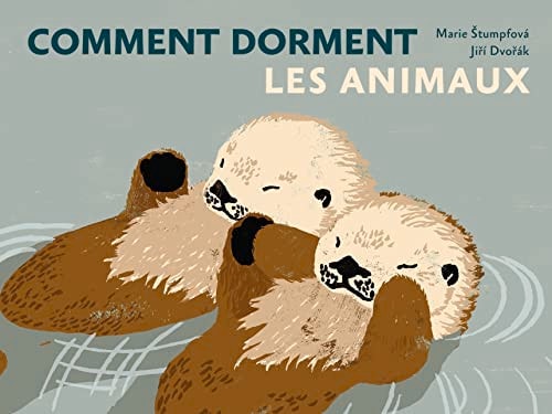 COMMENT DORMENT LES ANIMAUX, de Jiří Dvořák | portada del libro