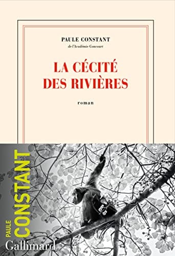 LA CECITE DES RIVIERES, de Paule Constant | portada del libro