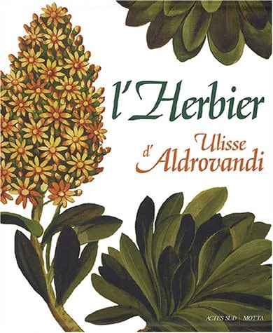 LHERBIER DULISSE ALDROVANDI, de Ulisse Aldrovandi | portada del libro