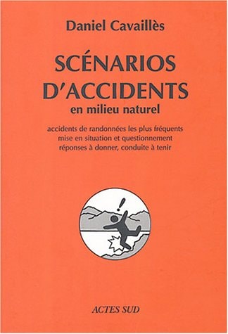 SCENARIOS DACCIDENTS, de Daniel Cavaillès | portada del libro