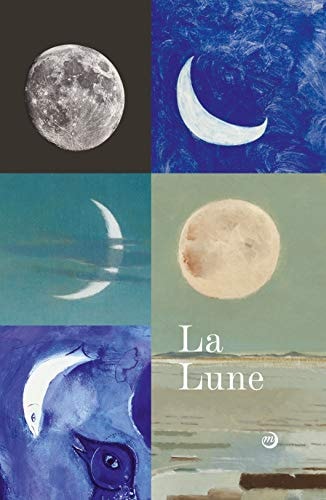 A LUNE. DU VOYAGE REEL AUX VOYAGES IMAG, de Galeries nationales du Grand Palais (Paris) | portada del libro