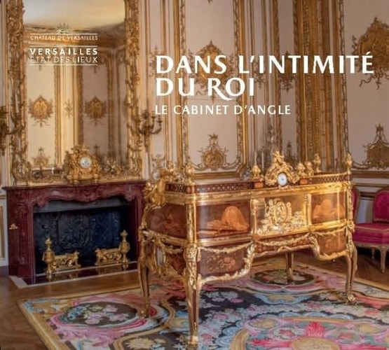 ANS L'INTIMITE DU ROI, LE CABINET D'ANG, de Yves Carlier | portada del libro