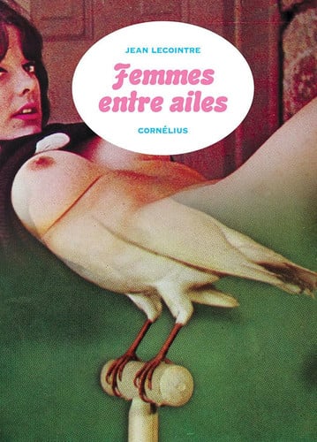 FEMMES ENTRE AILES, de LECOINTRE JEAN | portada del libro