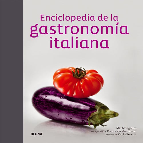 Enciclopedia de la gastronomía italiana, de Mangolini | portada del libro