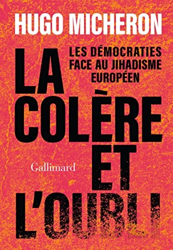 LA COLERE ET L'OUBLI, de HUGO MICHERON | portada del libro