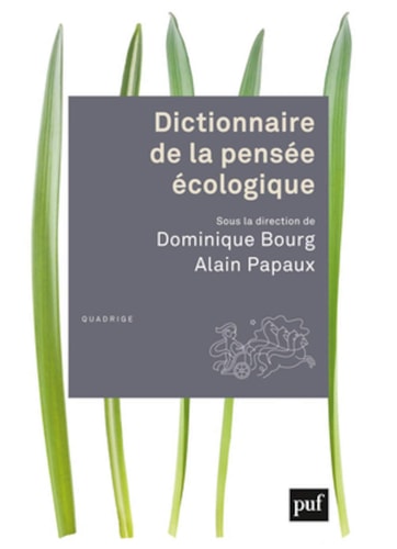 ICTIONNAIRE PENSEE ECOLOGIQUE, de Dominique Bourg | portada del libro