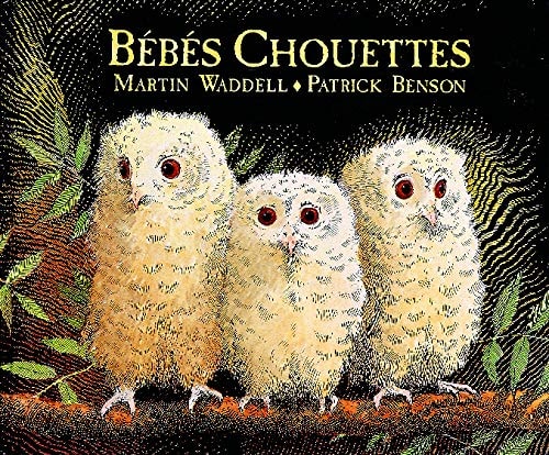 EBES CHOUETTES, de Martin Waddell | portada del libro