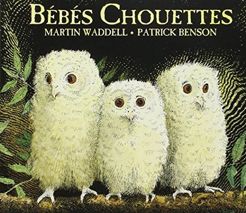 EBES CHOUETTES TOUT CARTON, de Martin Waddell | portada del libro