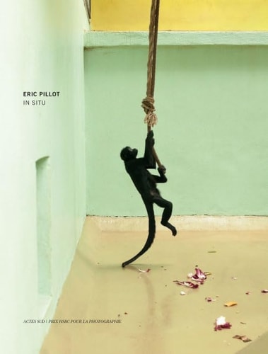 ERIC PILLOT IN SITU PRIX HSBC POUR LA PHOTOGRAPHIE 2012, de Éric Pillot | portada del libro