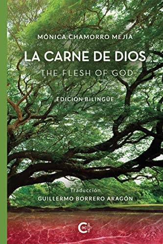 LA CARNE DE DIOS / THE FLESH OF GOD, de Chamorro Mejía | portada del libro